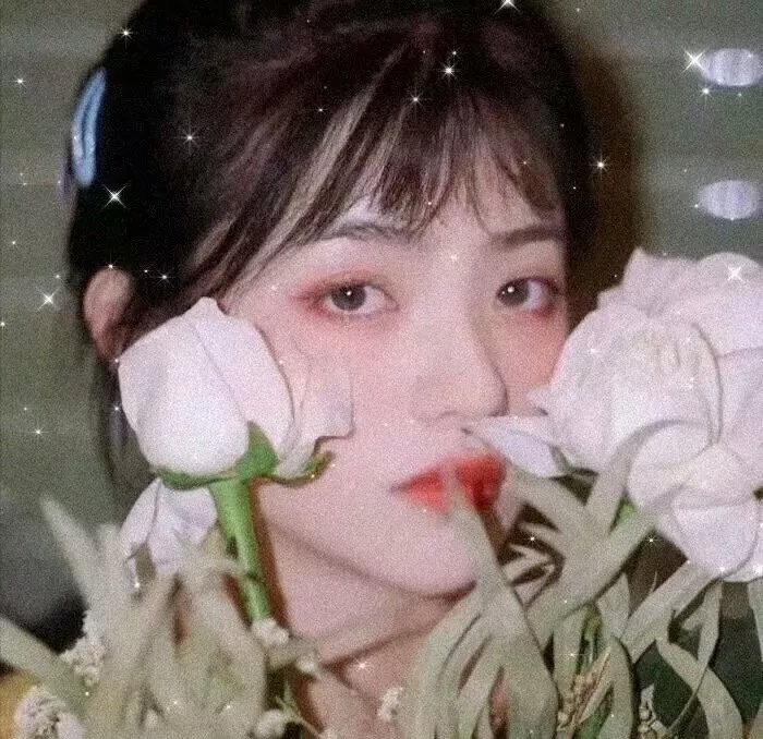 活尸三部曲