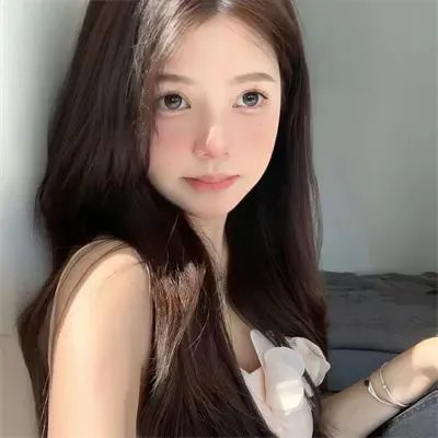 沙滩鼠