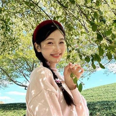 哈莉·奎茵第四季